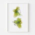 Green Lilies Floral Art Print